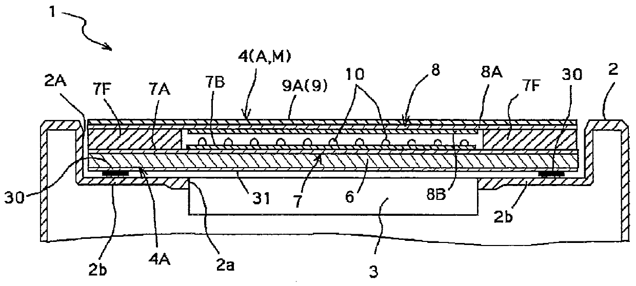 Electronic device having protection panel