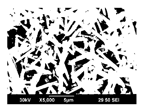 Porous silicon nitride ceramic and production method thereof