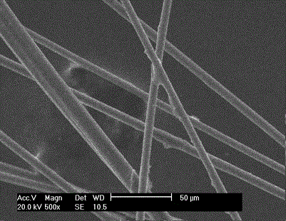 Carbon fiber surface coating treatment method