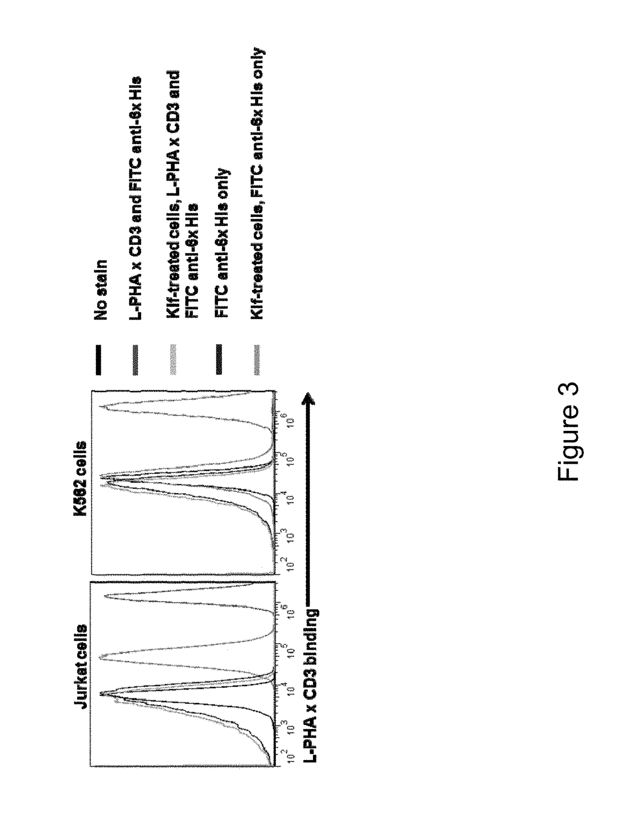 Glycan-dependent Immunotherapeutic Molecules