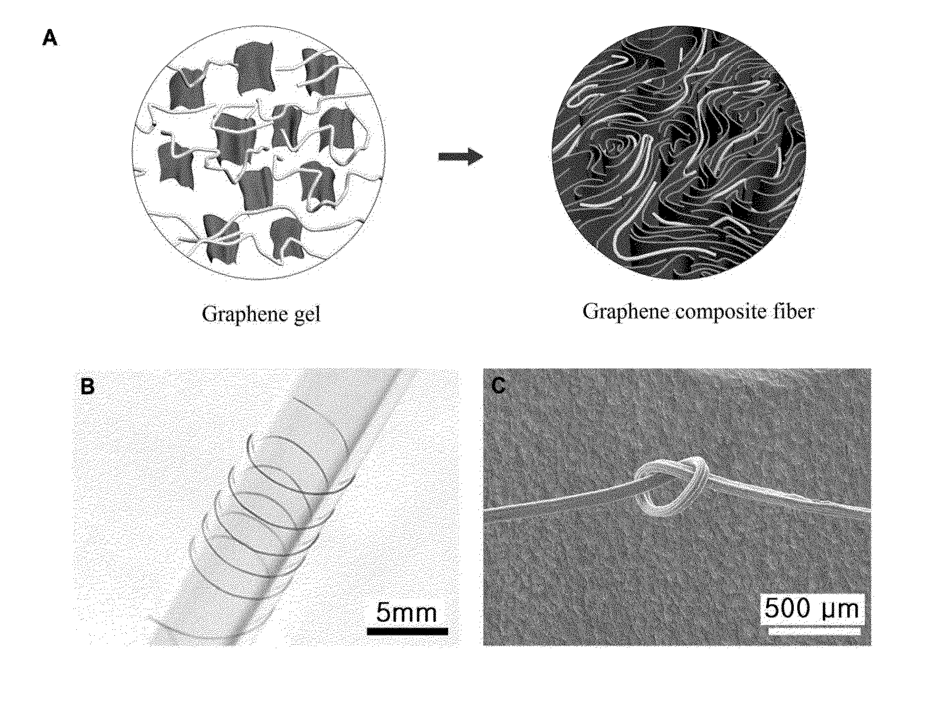 Graphene conjugate fiber and method for manufacturing same