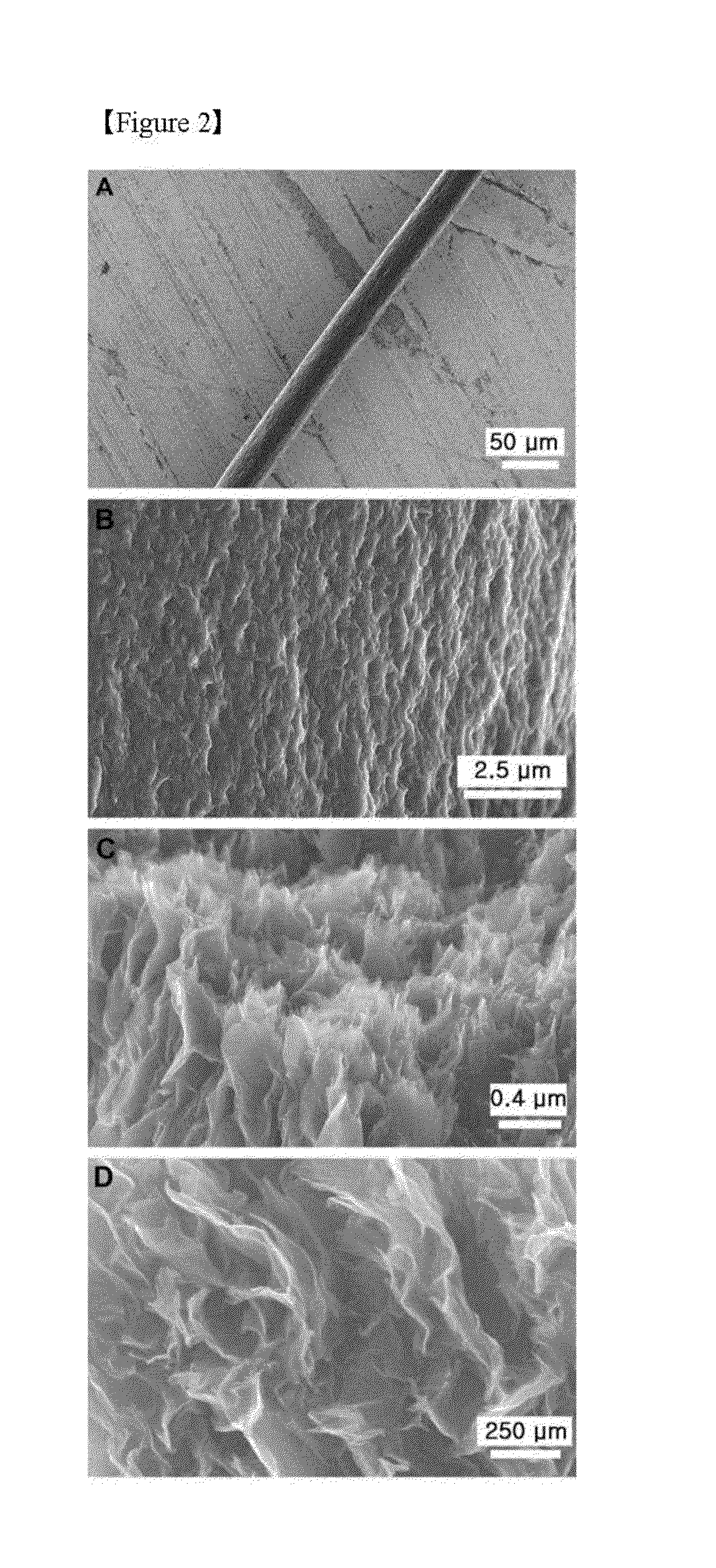 Graphene conjugate fiber and method for manufacturing same