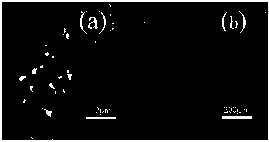 Nitrogen-doped titania/silica photocatalytic coating supported by diatomite