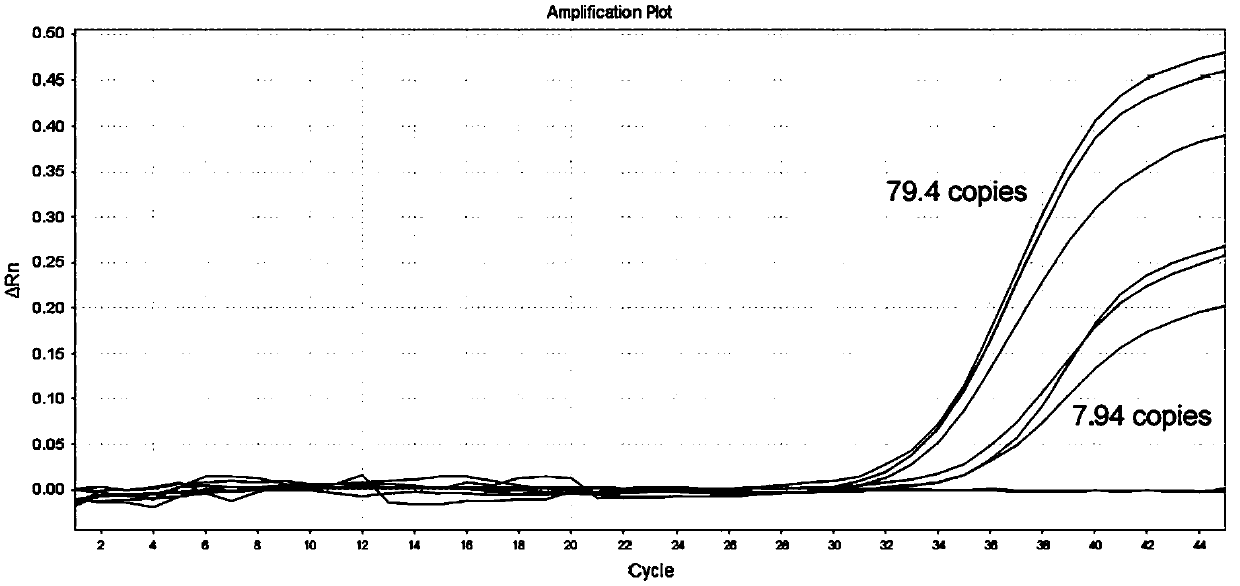 Virus lysis reaction solution suitable for rapid direct expansion PCR detection