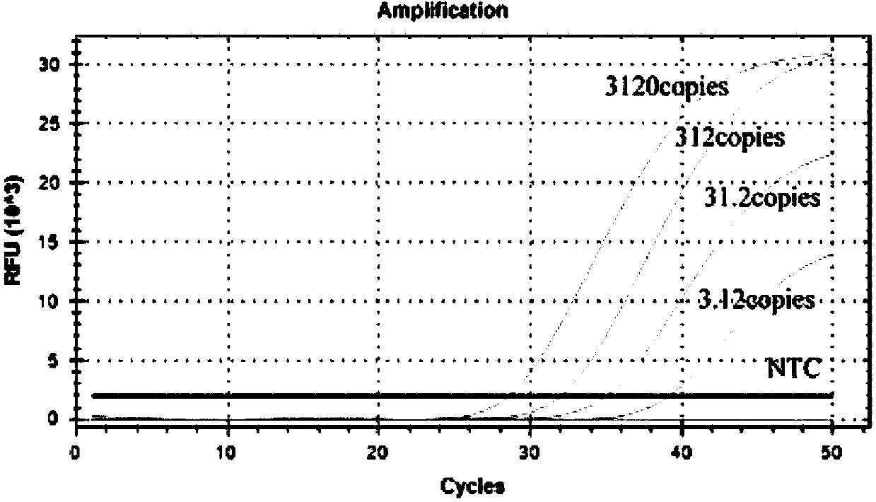 Virus lysis reaction solution suitable for rapid direct expansion PCR detection