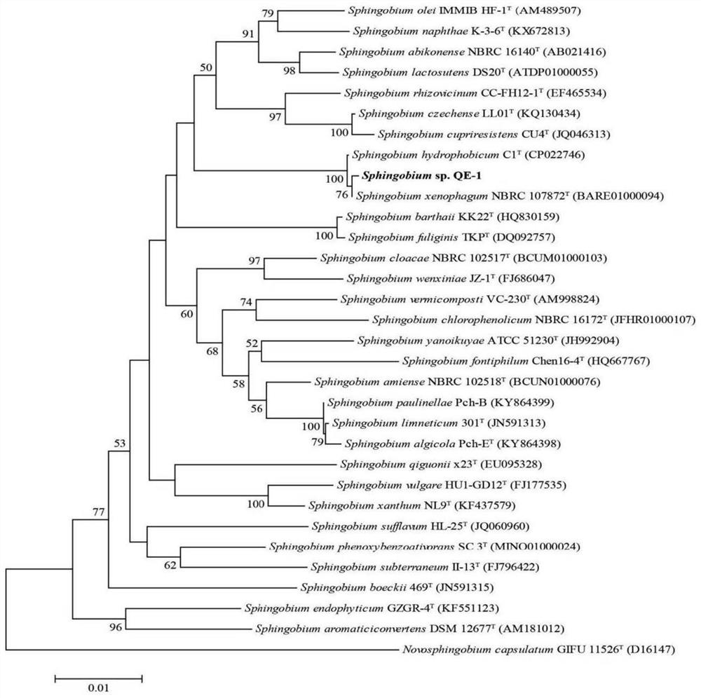 Aryloxyphenoxypropionate herbicide degradation strain and fungicide production method thereof