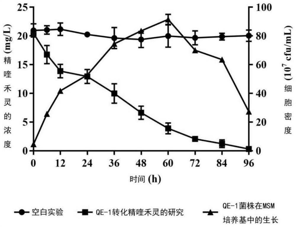 Aryloxyphenoxypropionate herbicide degradation strain and fungicide production method thereof