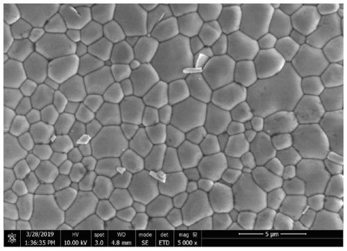 PbHfO3-based anti-ferroelectric material based on film rolling process, preparation method and applications thereof