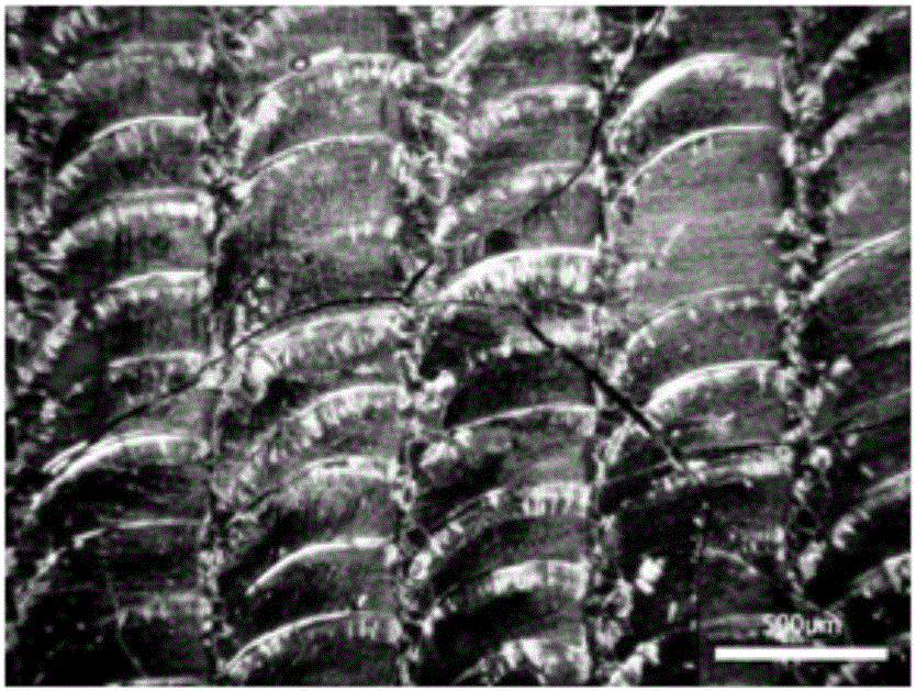 Surface modification method for spark plasma sintering type amorphous alloy coating