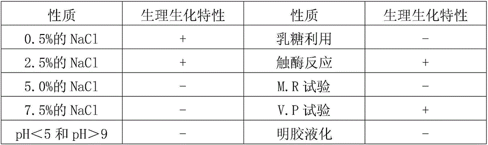 Paenibacillus and application thereof