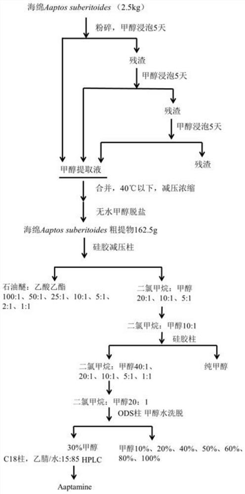 Preparation method and application of marine-derived anti-senile dementia compound