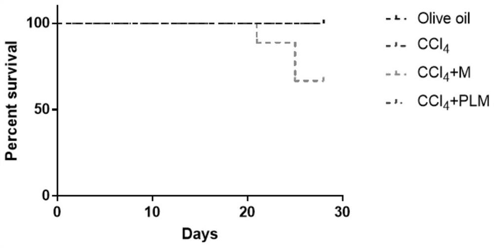 Mdivi-1 nano long-circulating liposome as well as preparation method and application thereof