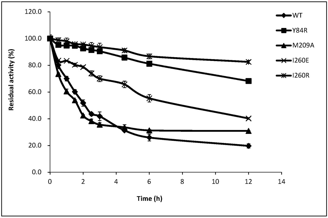 Partial glyceride lipase mutant and application thereof