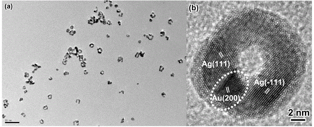 Preparation method of gold-silver composite nanoring