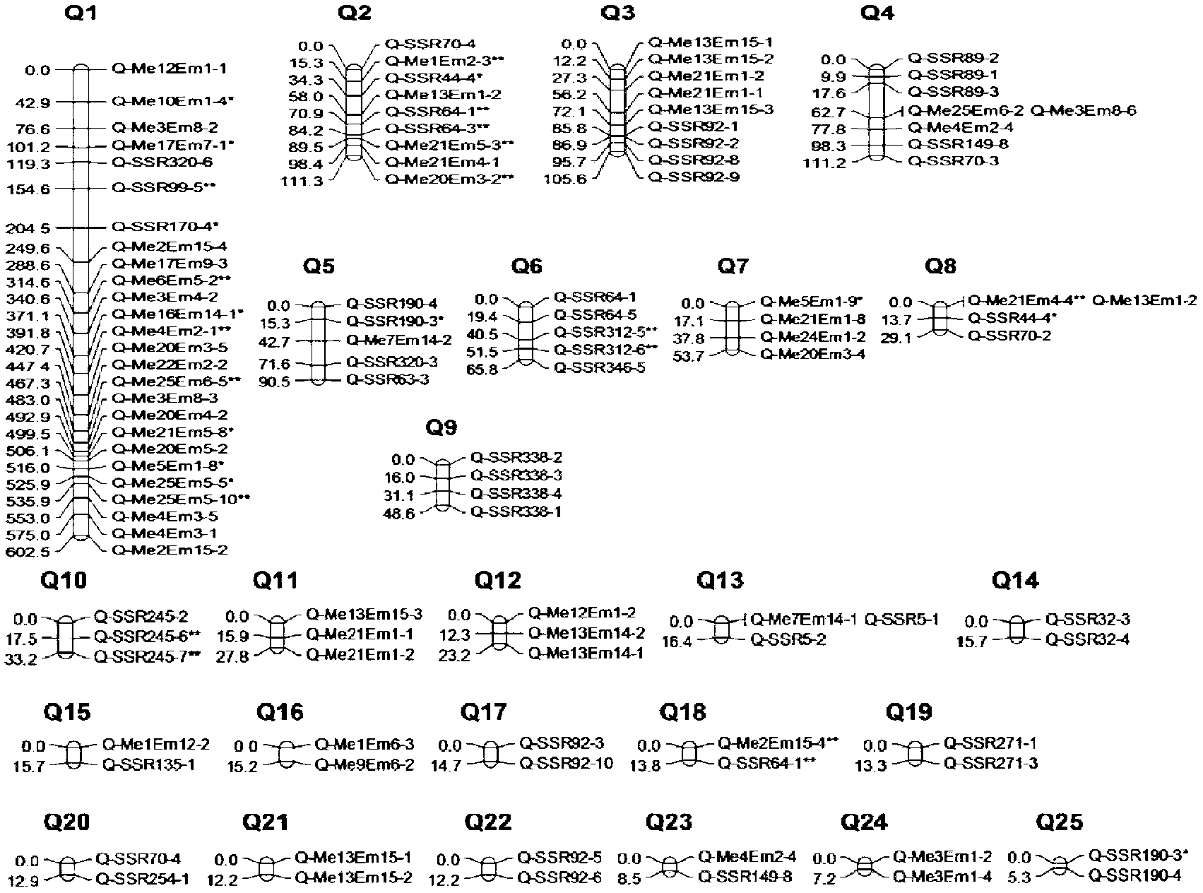 Chrysanthemum-branching-trait-related molecular marker acquisition method