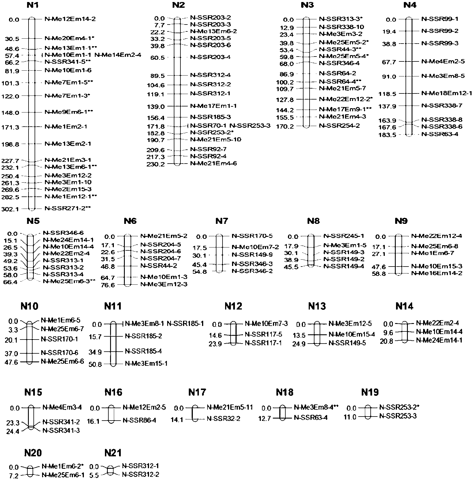 Chrysanthemum-branching-trait-related molecular marker acquisition method