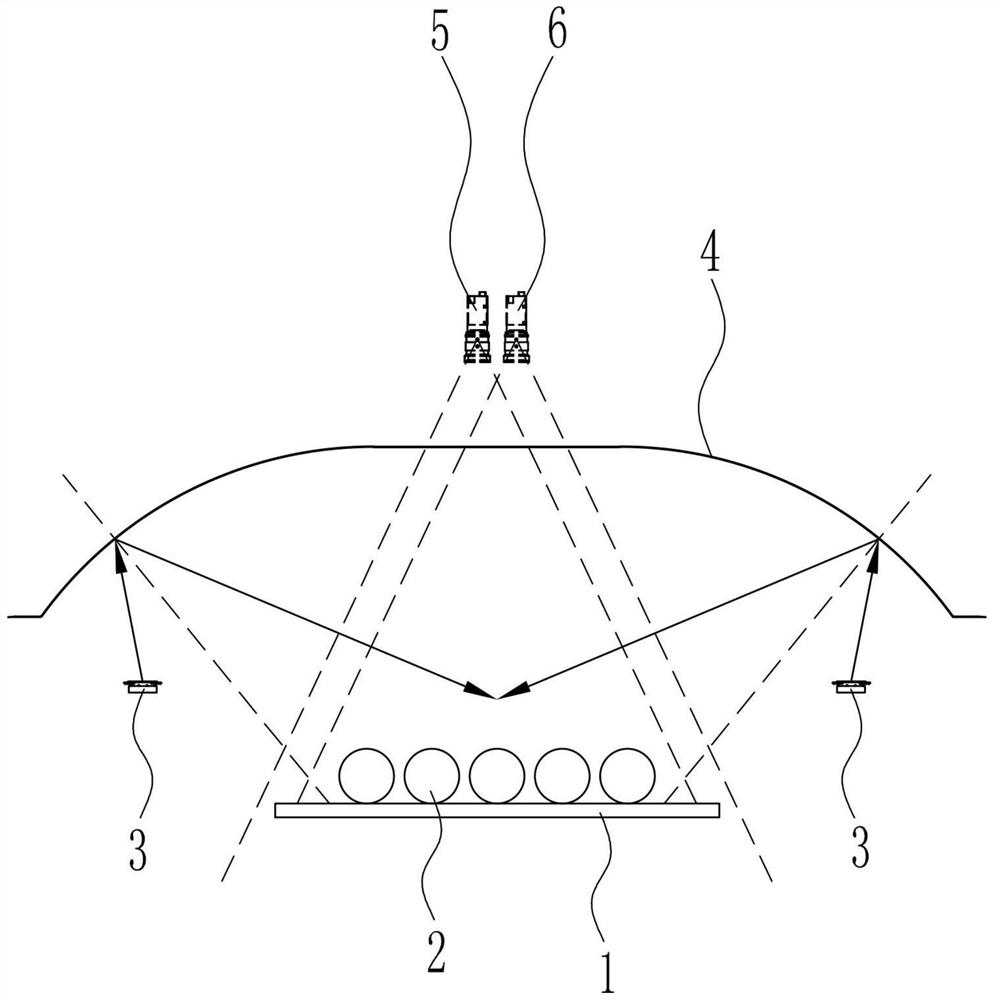 Fruit and vegetable visual detection system based on multispectral light source imaging