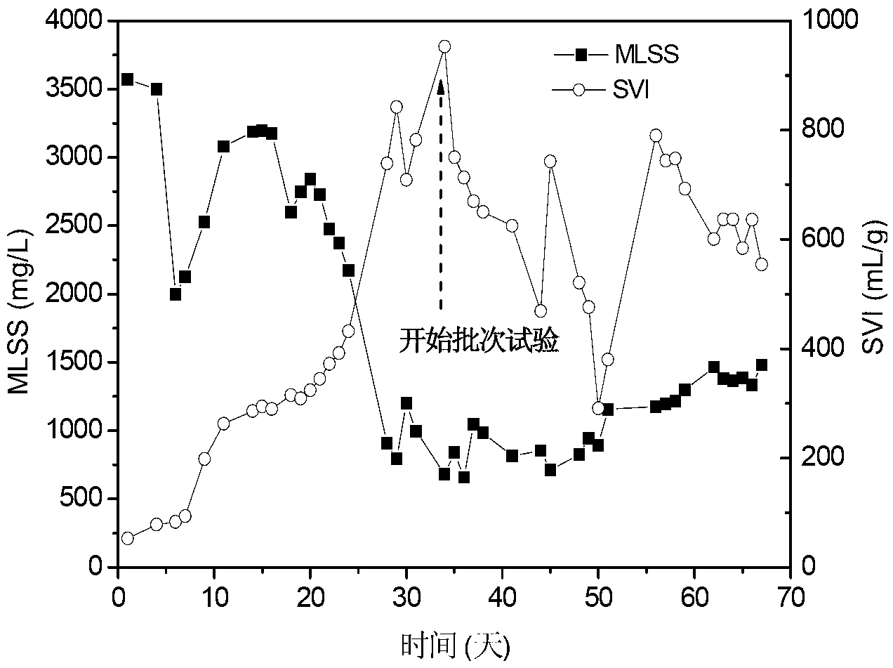 Method for effectively controlling sludge bulking caused by chlorine resistant filamentous bacteria