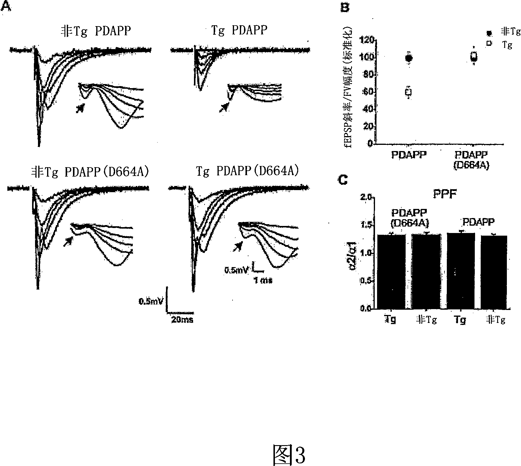 Transgenic models of alzheimer's disease and uses therefor in the treatment of a variety of neurodegenerative diseases