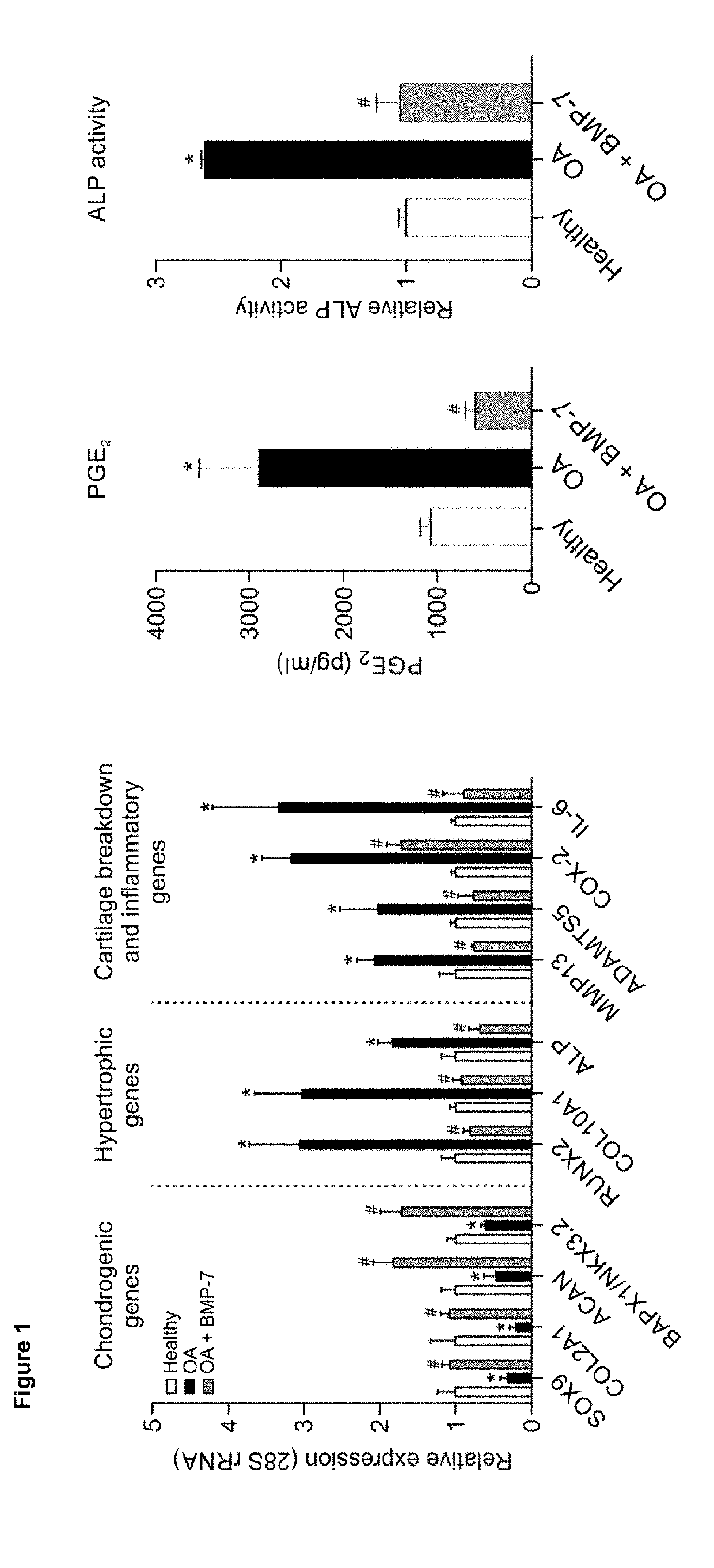 Method for the treatment or prevention of osteoarthritis