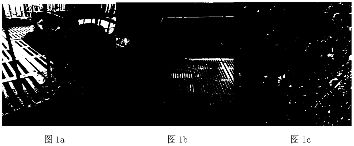 A compound preparation for reducing the diarrhea rate of weaned piglets and its preparation method