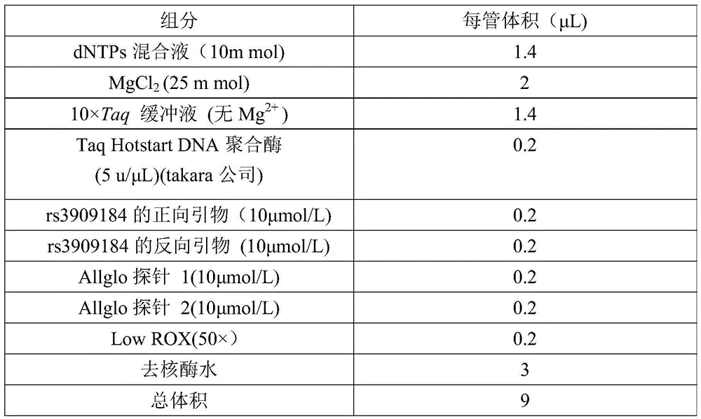 Rs 3909184 detection genotyping kit based on AllGlo probe and genotyping method thereof