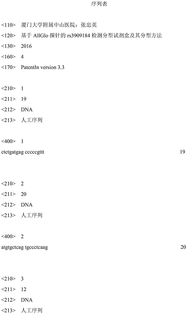 Rs 3909184 detection genotyping kit based on AllGlo probe and genotyping method thereof