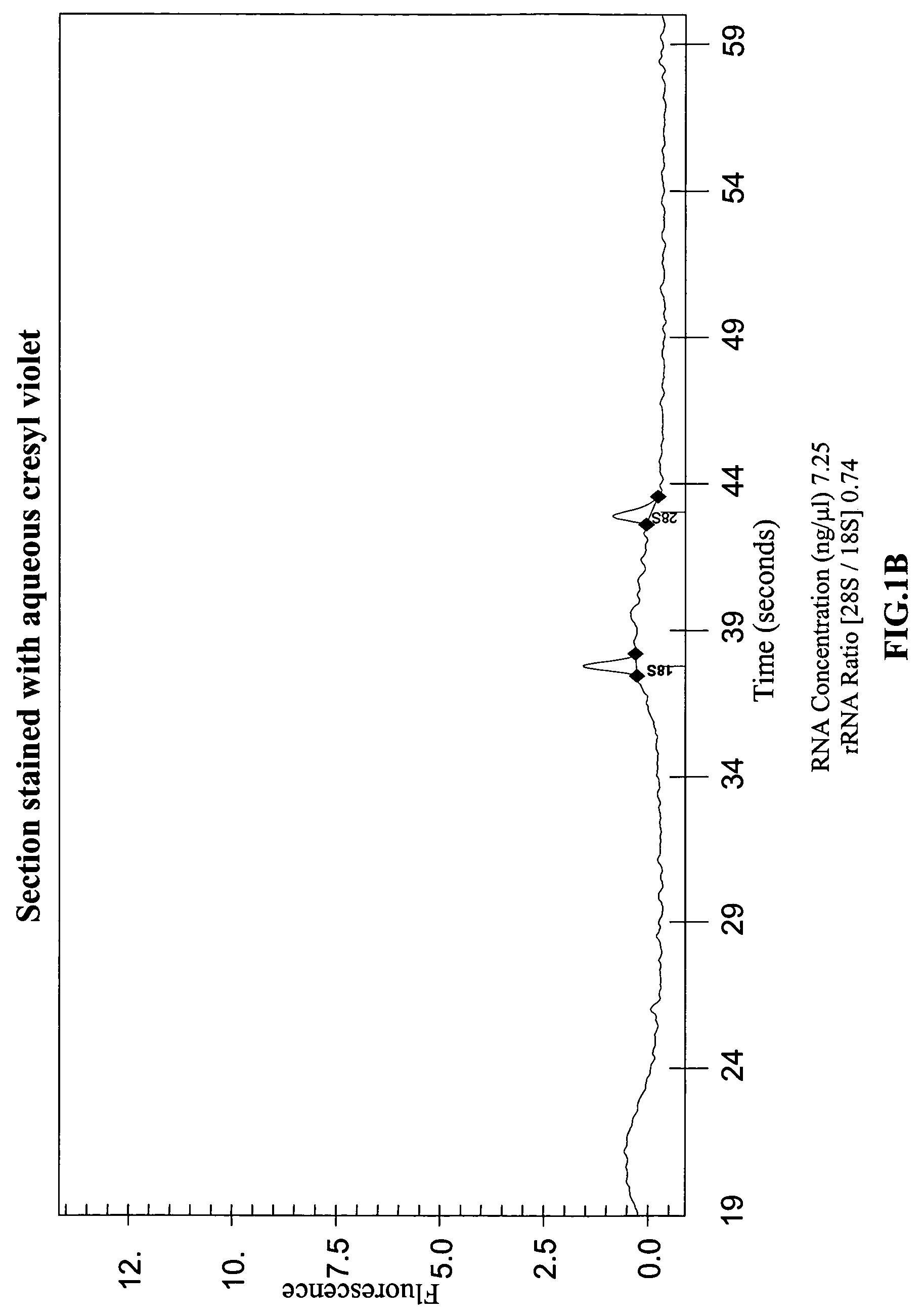 Methods and compositions for preparing tissue samples for RNA extraction