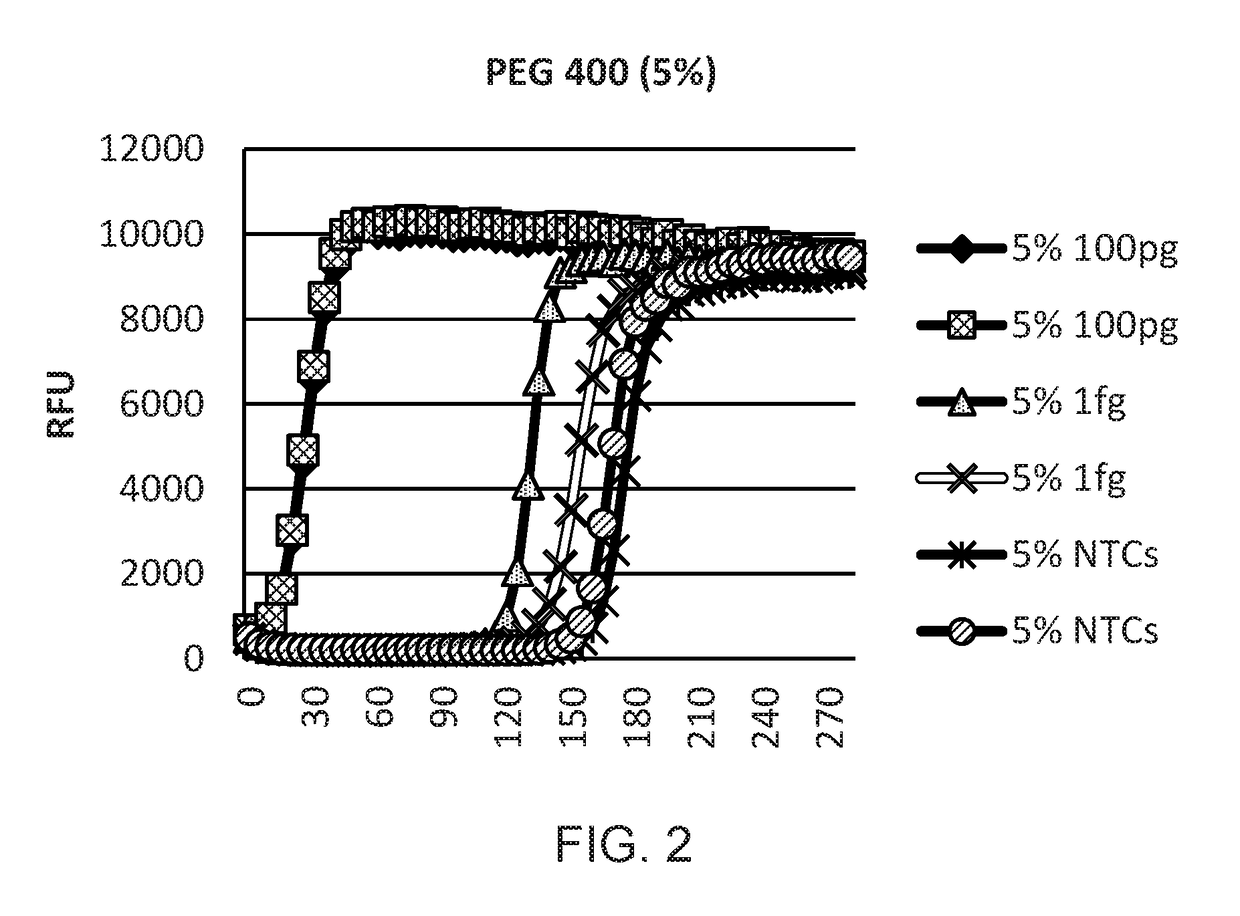 Solid phase isothermal amplification