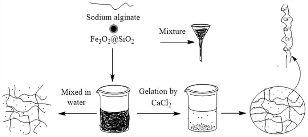 Heavy metal ion adsorption material and preparation method and application thereof