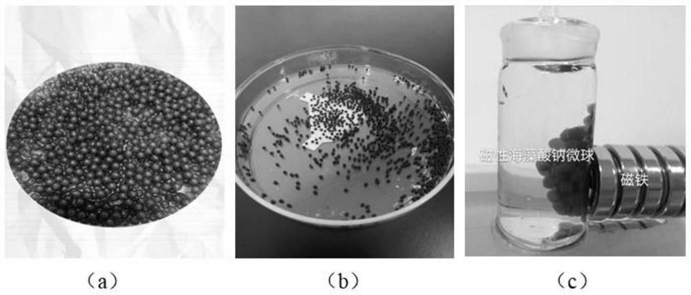 Heavy metal ion adsorption material and preparation method and application thereof