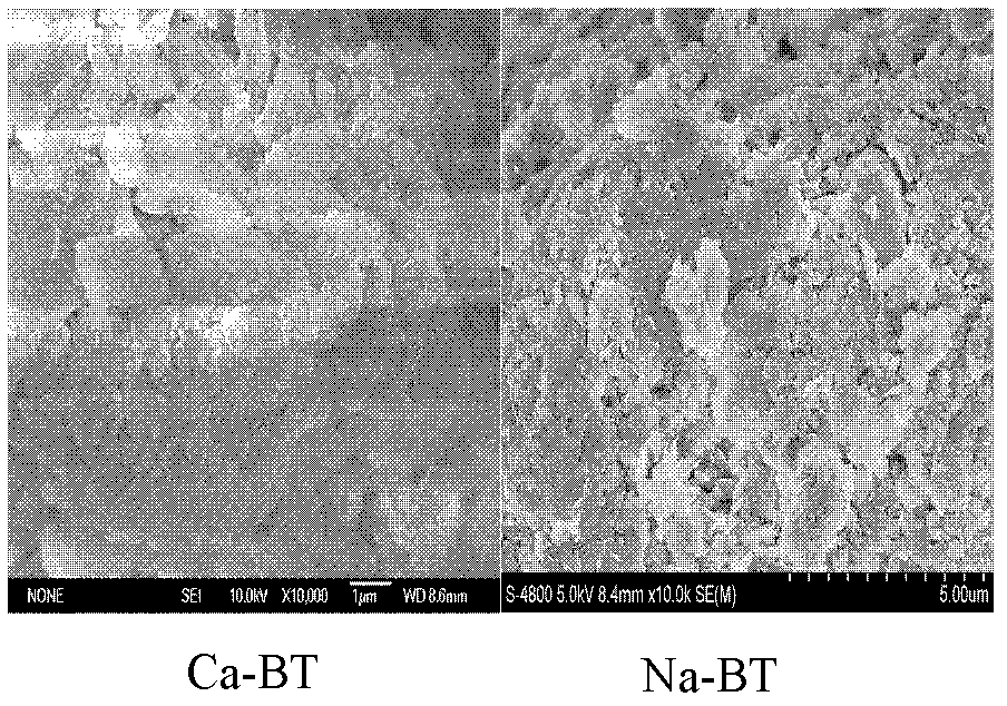 Novel sodium bentonite-AM-AA composite lead ion absorbing agent