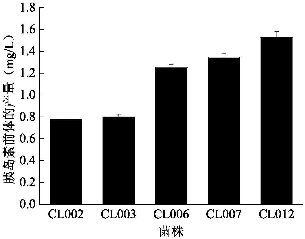 Method for increasing output of insulin precursors