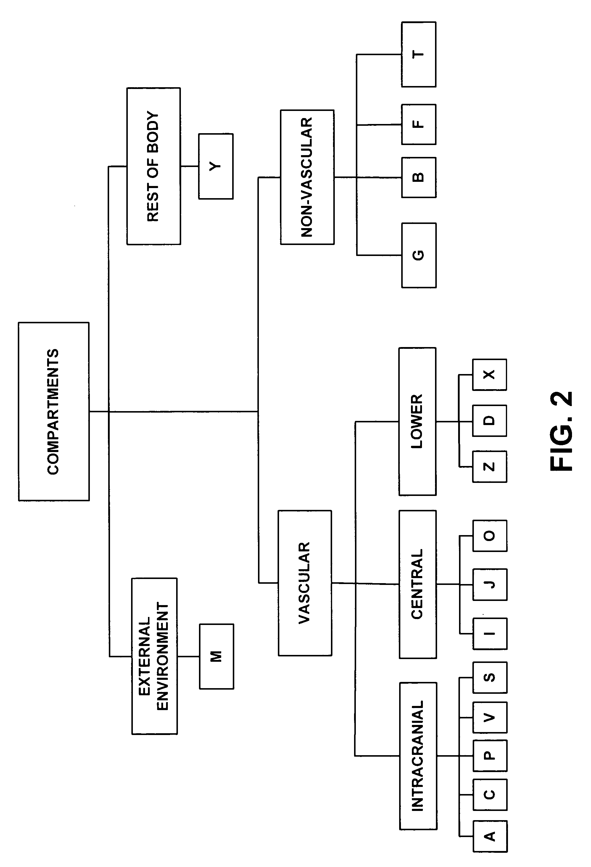 Mathematical circulatory system model