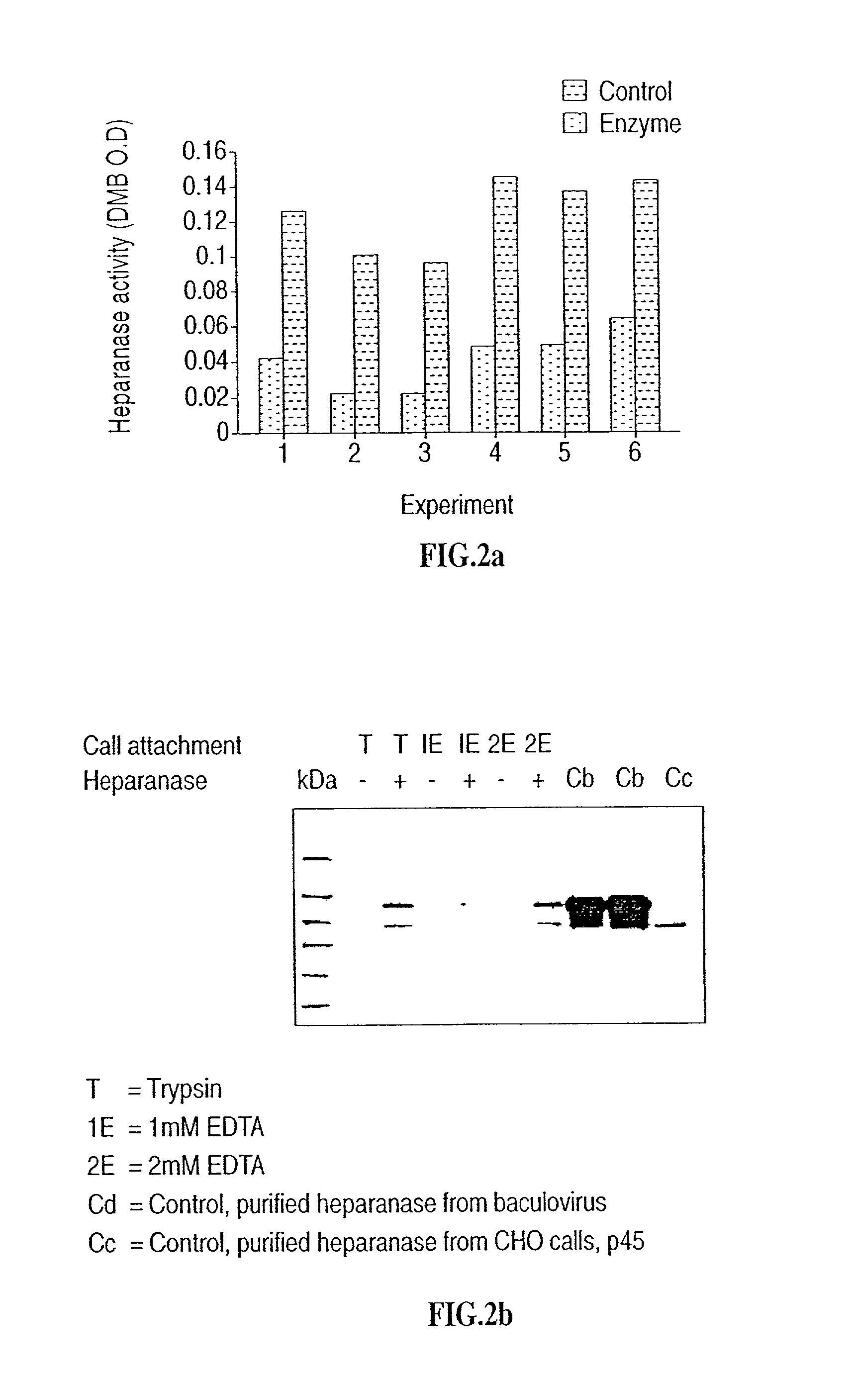 Method of inducing bone formation