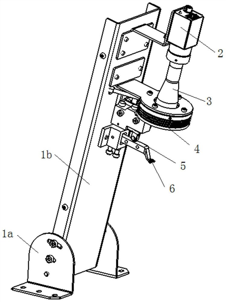 Vision-based chick male and female intelligent identification method and system