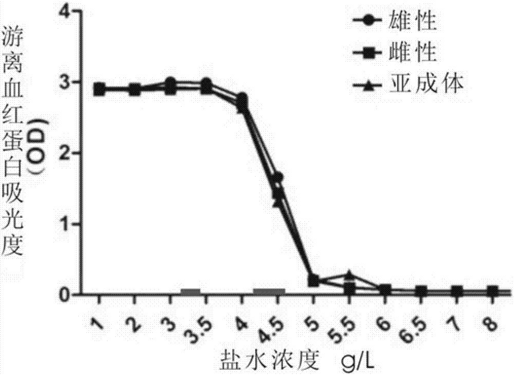 Liquid for preserving red cells of ursid and application of liquid for preserving red cells of ursid