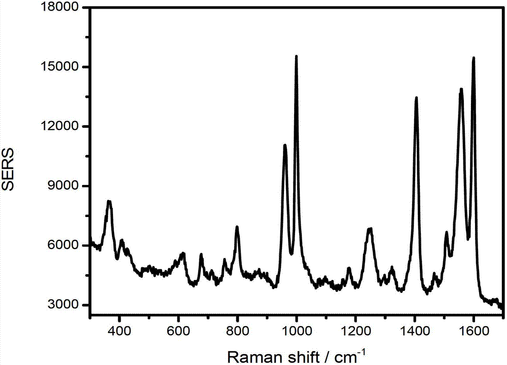 Surface-enhanced Raman spectrum substrate, and preparation method thereof