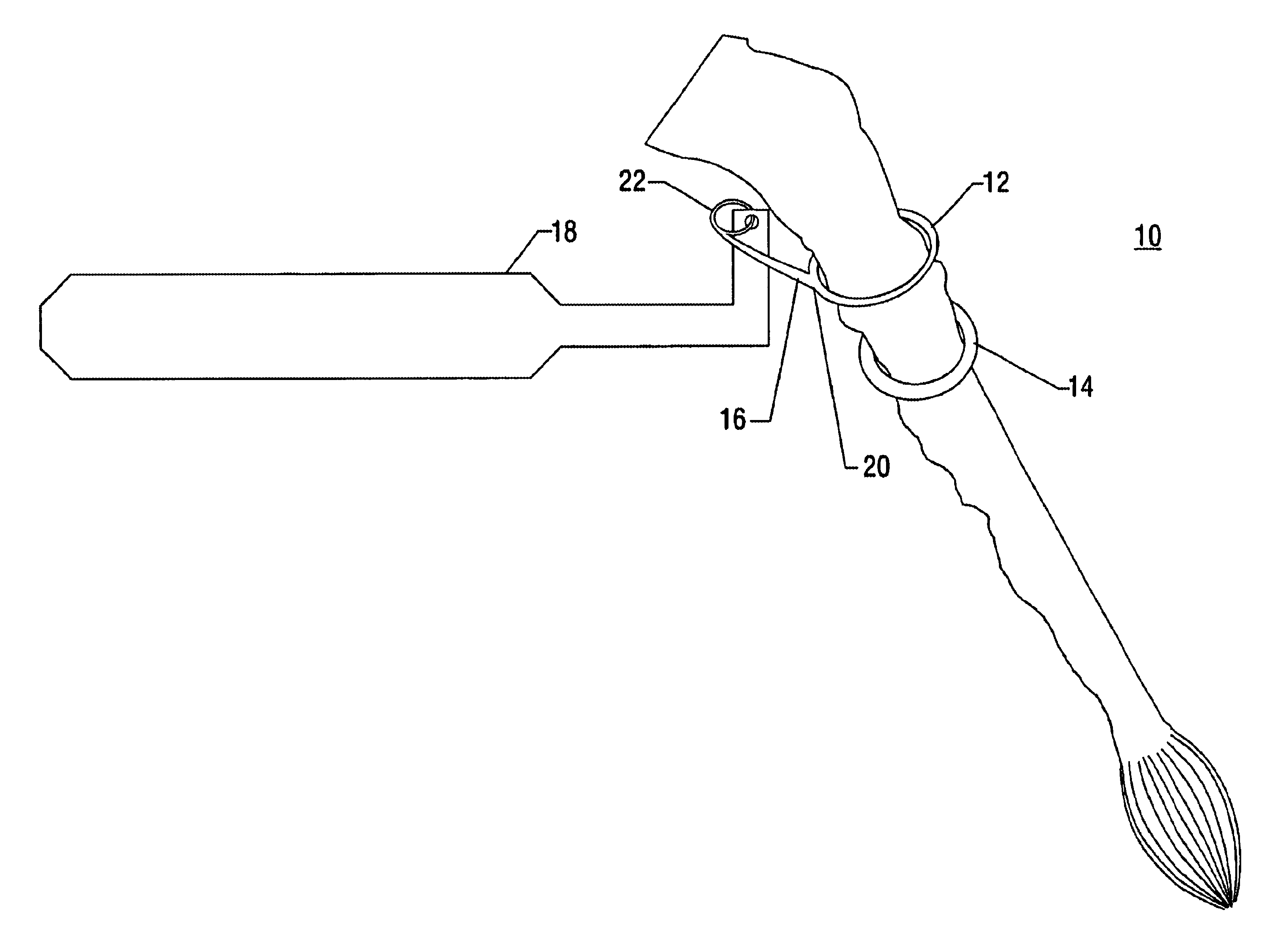 Intravaginal retention device for a tailed animal