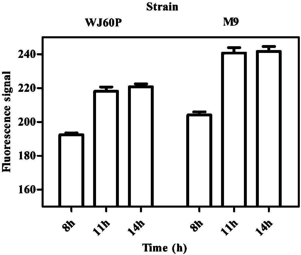 High-flux screening method based on biosensor