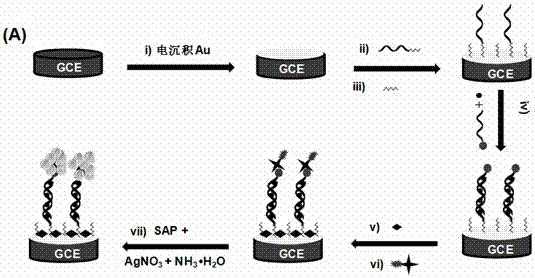 ppt level Hg&lt;2+&gt; ampere analysis method