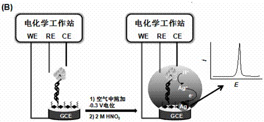 ppt level Hg&lt;2+&gt; ampere analysis method