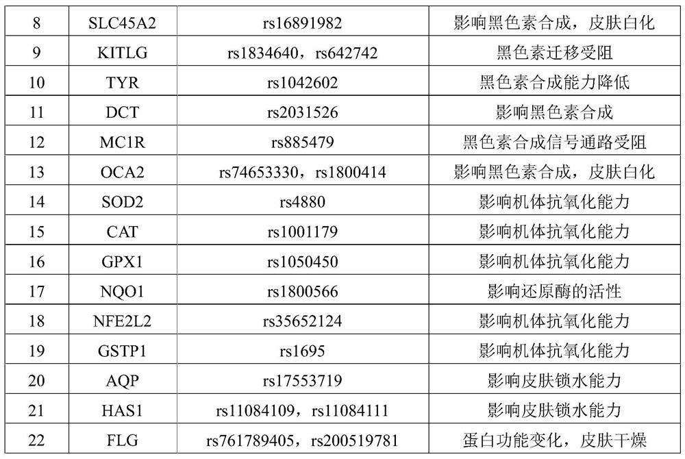 A complete set of primers for detecting SNPs of susceptibility genes related to skin aging and its application