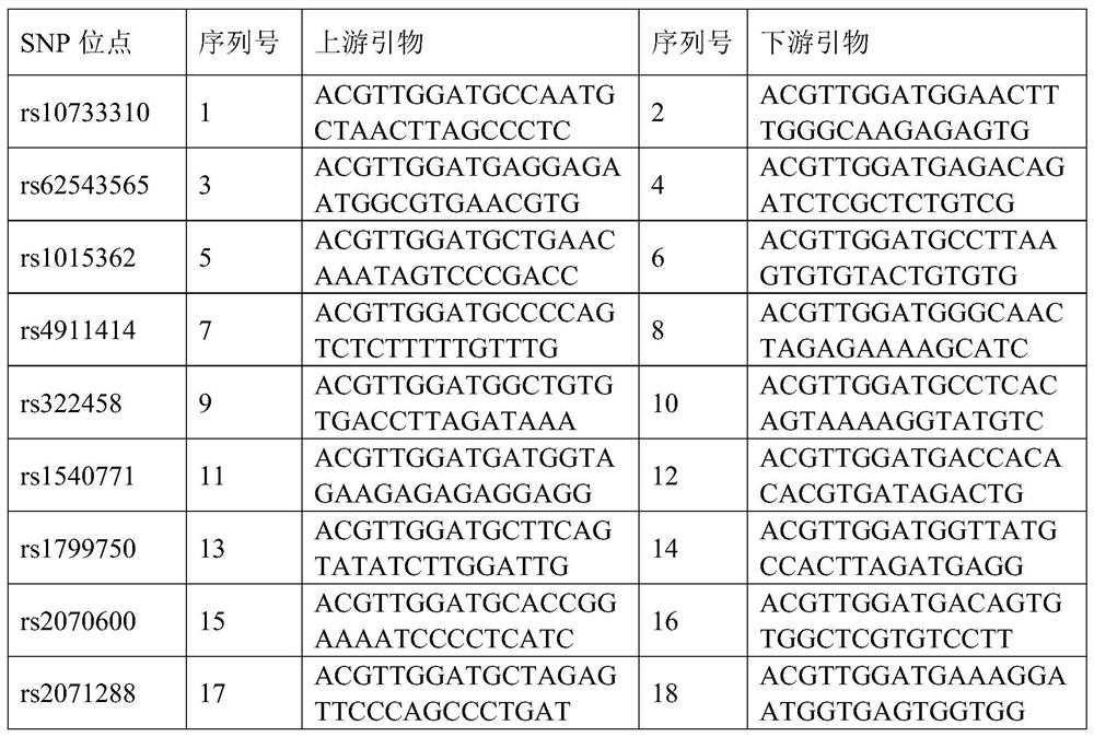 A complete set of primers for detecting SNPs of susceptibility genes related to skin aging and its application