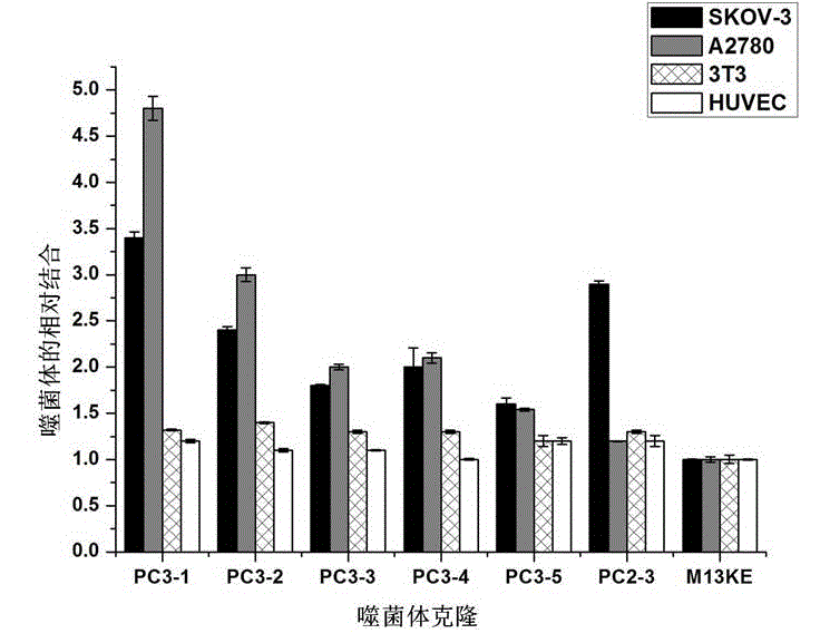 Ovarian-cancer-targeted polypeptide