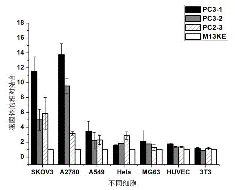 Ovarian-cancer-targeted polypeptide