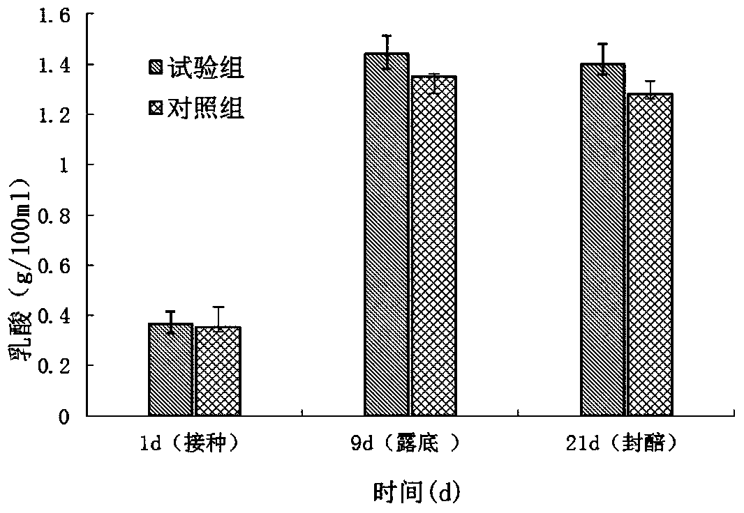 Preparation method and application of a lactobacillus fermentum suitable for vinegar brewing and its bacterial powder