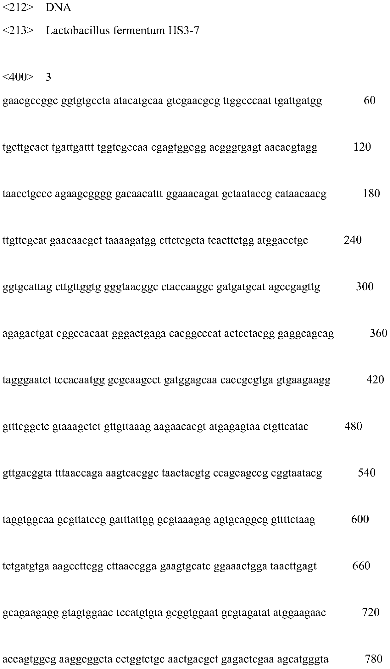 Preparation method and application of a lactobacillus fermentum suitable for vinegar brewing and its bacterial powder