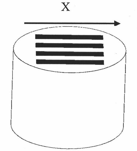 Chemical corrosion detection method of hot rolling strip steel scale structure