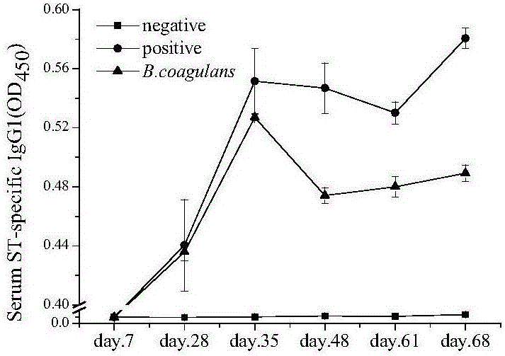 Application of bacillus coagulans to preparation of medicine or food for preventing and/or treating anaphylactic reaction